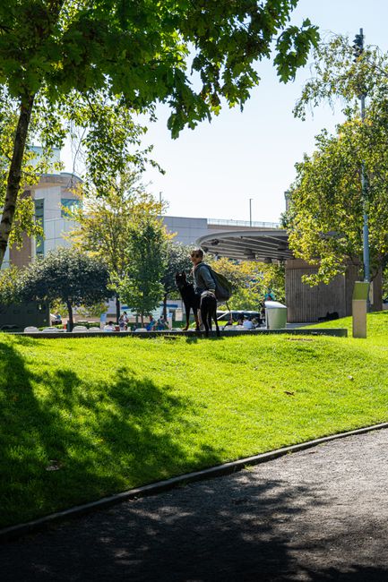 A scene in a public park featuring well-maintained green grass and a paved walking path in the foreground. Several mature trees with lush green leaves provide partial shade, their branches extending overhead. In the middle distance, a person with a backpack is walking a black dog along the grassy area, with the dog on a leash. Behind them, additional trees and shrubs add variety to the landscaped space. In the background, urban structures such as a modern building and an overpass are visible under a clear blue sky. The lighting indicates a bright, sunny day, highlighting the vibrant colors of the foliage and the cleanliness of the park. This outdoor space exemplifies general park maintenance and landscaping work that Gardeners Highbury could assist with, emphasizing the importance of lawn care, tree health, and pathway upkeep in community green spaces.